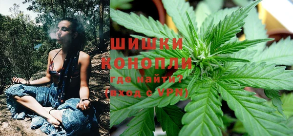 ГАЛЛЮЦИНОГЕННЫЕ ГРИБЫ Белокуриха