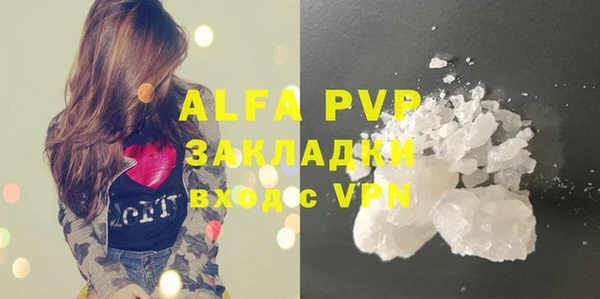 ГАЛЛЮЦИНОГЕННЫЕ ГРИБЫ Белокуриха