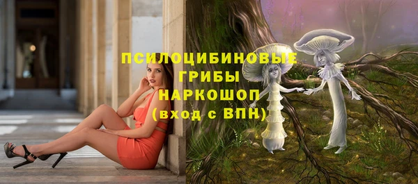 ГАЛЛЮЦИНОГЕННЫЕ ГРИБЫ Белокуриха