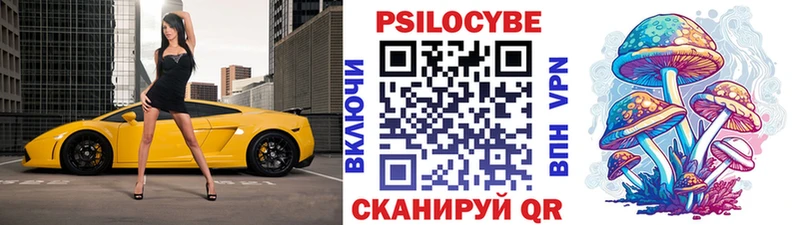 Купить  Губаха  Псилоцибиновые грибы Cubensis 